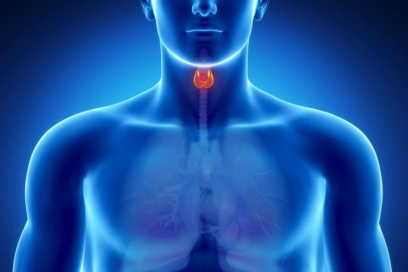 5 Things You Can Do To Keep Your Thyroid Healthy